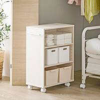 押入れクローゼット収納  (IW2545 幅25×奥行45cm ホワイトウォッシュ)