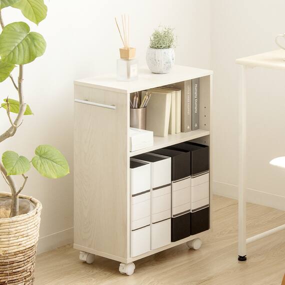 押入れクローゼット収納  (IW2545 幅25×奥行45cm ホワイトウォッシュ) 3枚目画像