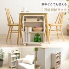 押入れクローゼット収納 (IW2545 幅25×奥行45cm ホワイトウォッシュ) 6枚目画像