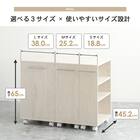 押入れクローゼット収納  (IW2545 幅25×奥行45cm ホワイトウォッシュ) 7枚目画像