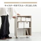 押入れクローゼット収納  (IW2545 幅25×奥行45cm ホワイトウォッシュ) 9枚目画像