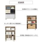 押入れクローゼット収納  (IW2545 幅25×奥行45cm ホワイトウォッシュ) 14枚目画像