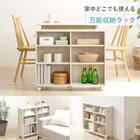 押入れクローゼット収納 (IW3875 幅38×奥行75cmホワイトウォッシュ) 5枚目画像