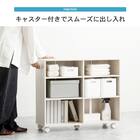 押入れクローゼット収納 (IW3875 幅38×奥行75cmホワイトウォッシュ) 8枚目画像