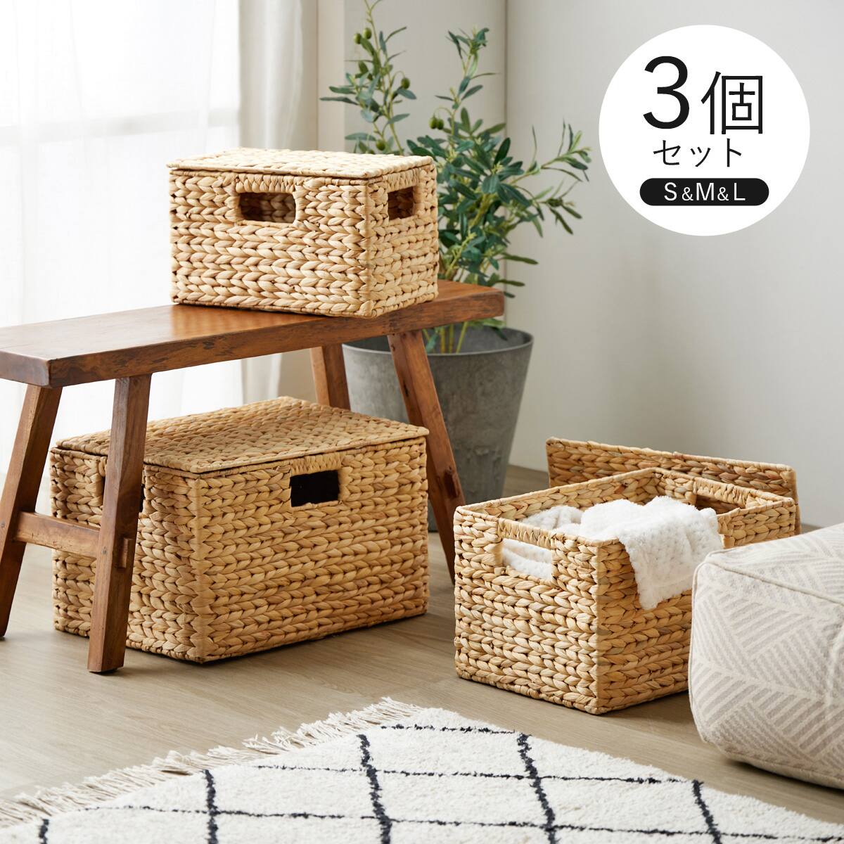 ウォーターヒヤシンスバスケット3個セット(S・M・L) 蓋付き | ニトリ