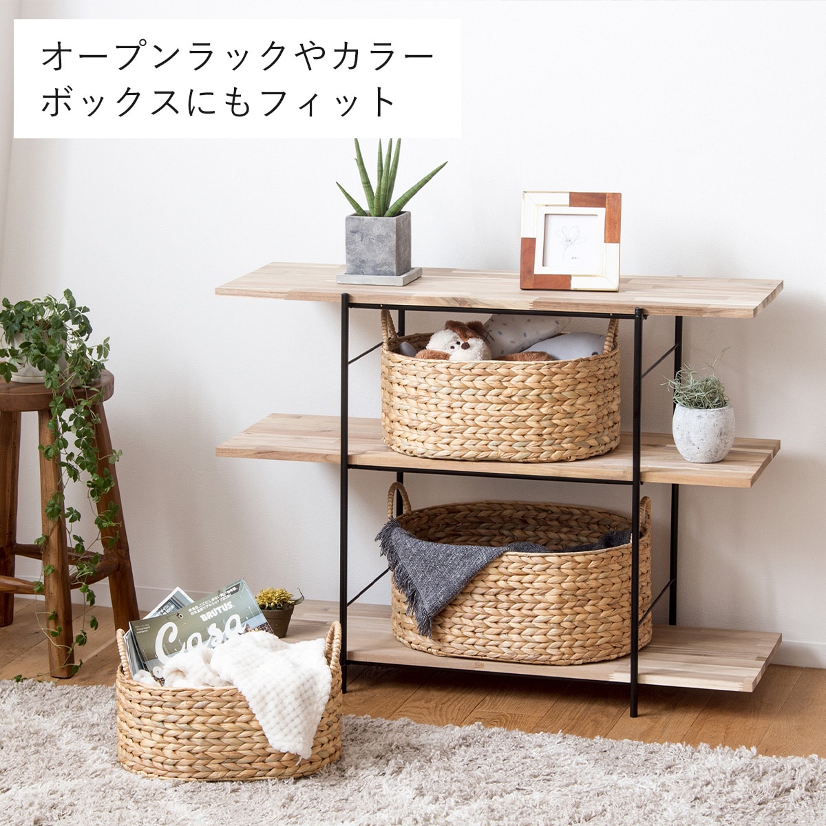 NITRAID BEARTEE セット売り コレクションボード(セアH 60 LBR) | ニトリネット【公式】 家具