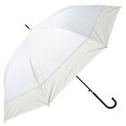 UVペールバイカラー 長傘(ブルー) 1枚目画像