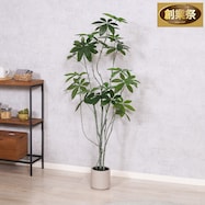 フェイクグリーン (パキラ 150cm)【期間限定価格:11/27~1/5まで】