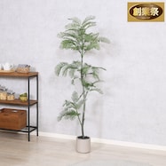 フェイクグリーン (ジャカランダ 160cm)【期間限定価格:11/27~1/5まで】