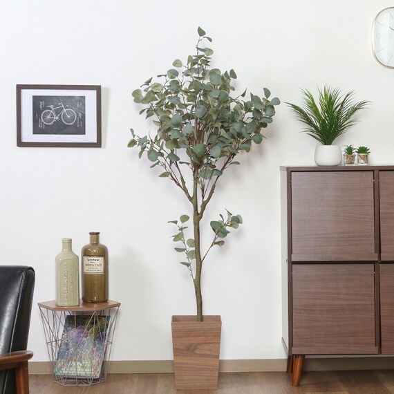 清涼感のあるフェイクグリーン(ユーカリ 150cm) 1枚目画像