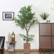 涼し気な印象のフェイクグリーン(フィカス 160cm)