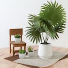 高貴な印象のフェイクグリーン(パナマソウ セラミックポット) 1枚目画像