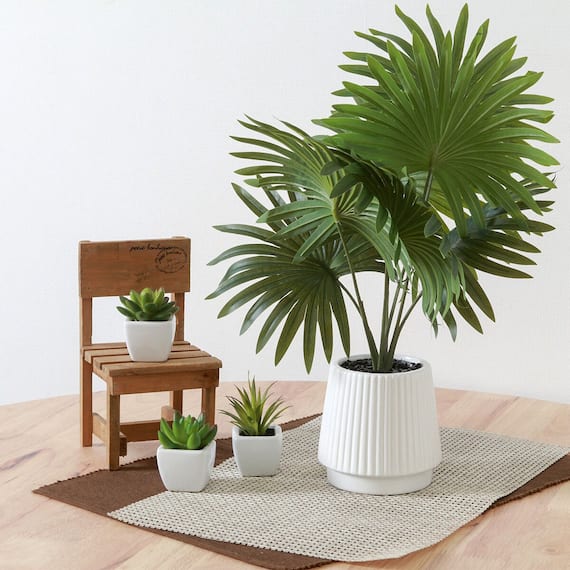 高貴な印象のフェイクグリーン(パナマソウ セラミックポット) 1枚目画像