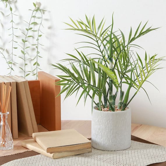 爽やかな印象のフェイクグリーン(テーブルヤシ ペーパーポット) 1枚目画像