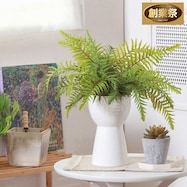 エレガントな印象のフェイクグリーン(シダ セラミックポット)【期間限定価格:11/27~1/5まで】