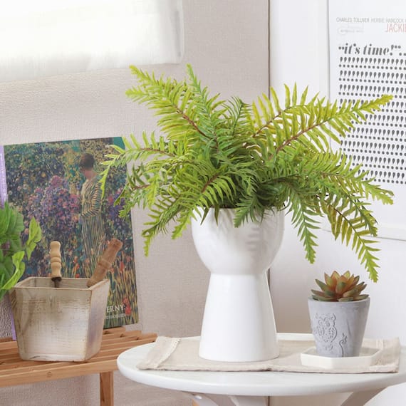 エレガントな印象のフェイクグリーン(シダ セラミックポット) 1枚目画像