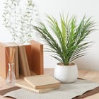 爽やかな印象のフェイクグリーン(ヤシ セラミックポット) 1枚目画像