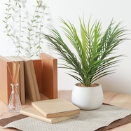 爽やかな印象のフェイクグリーン(ヤシ セラミックポット)