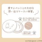 猫ちゃんの毛玉ケース(FJ トコトコ) 2枚目画像