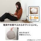 収納できるクッションカバー(シュシュ丸ＳｰIV) 2枚目画像