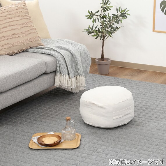 収納できるクッションカバー(シュシュ丸ＳｰIV) 4枚目画像