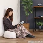 収納できるクッションカバー(シュシュ丸ＳｰIV) 9枚目画像