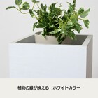 棚付きプランタースタンド(ハイタイプ) 2枚目画像