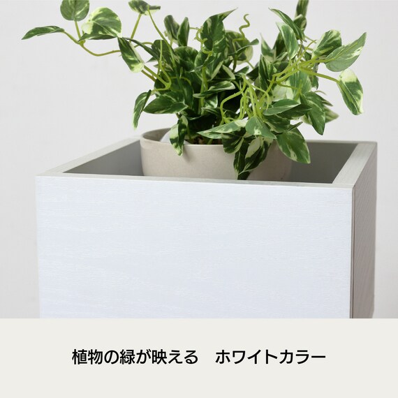 棚付きプランタースタンド(ハイタイプ) 2枚目画像