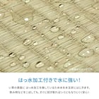 い草カーペット 白馬 (江戸間 6畳) 8枚目画像