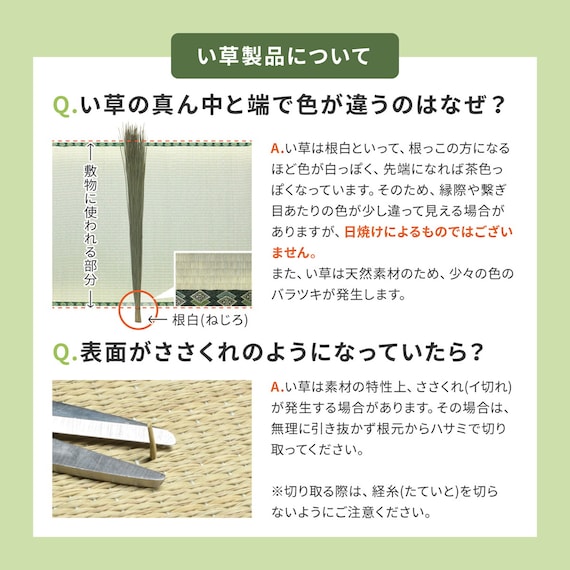 い草カーペット 白馬 (江戸間 6畳) 10枚目画像