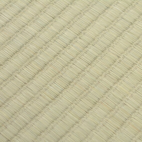 い草カーペット 谷川 (江戸間 10畳) 5枚目画像