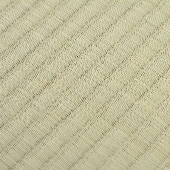 い草カーペット 谷川 (江戸間 10畳) 5枚目画像