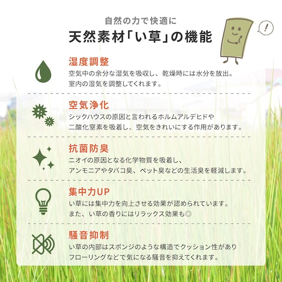 【国産】い草カーペット 琥珀 (江戸間 3畳) 3枚目画像