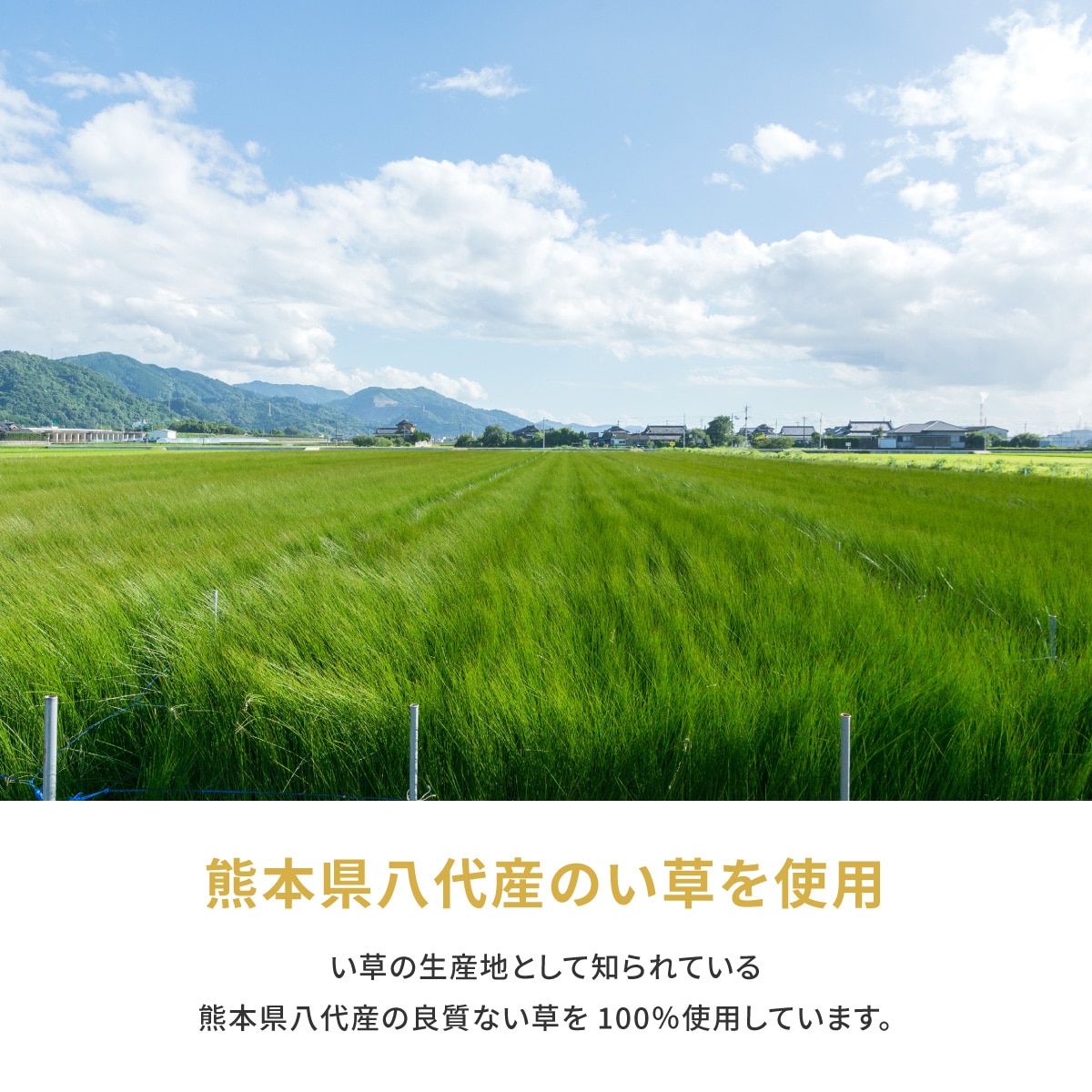 ◇2020年製◇ニトリ◇ジュリバ◇こたつ◇大阪兵庫京都奈良滋賀和歌山◇ ◇2020年製◇ニトリ◇ジュリバ◇こたつ◇大阪兵庫京都奈良滋賀