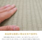 【国産】い草カーペット 琥珀 (江戸間 3畳) 10枚目画像
