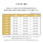 【国産】い草カーペット 琥珀 (江戸間 3畳) 13枚目画像