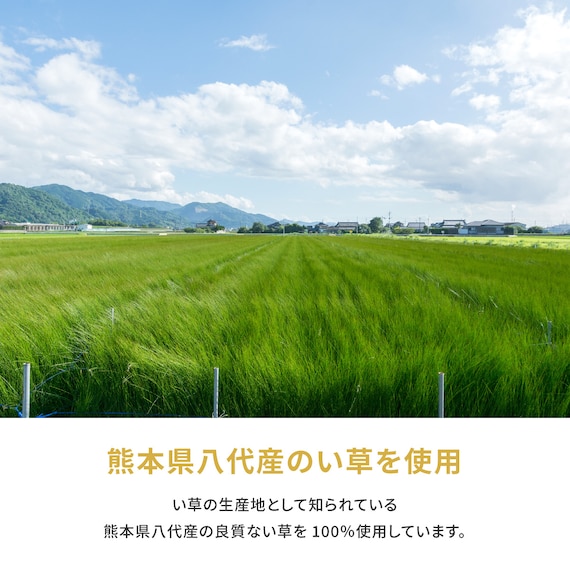 【国産】い草カーペット 琥珀 (三六間 6畳) 9枚目画像