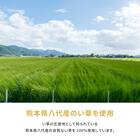 【国産】い草カーペット 琥珀 (本間 6畳) 9枚目画像