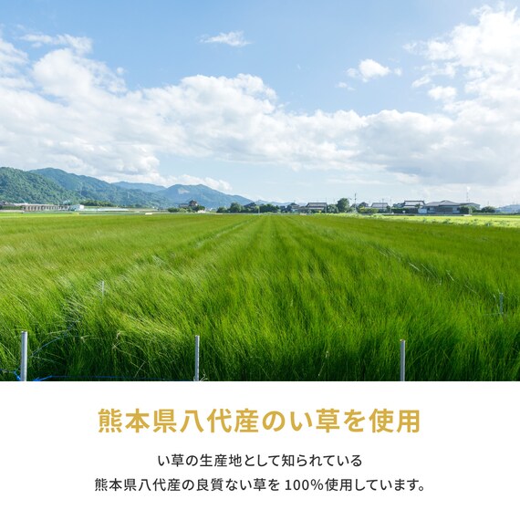 【国産】い草カーペット 琥珀 (本間 6畳) 9枚目画像