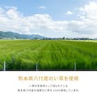 【国産】い草カーペット 琥珀 (本間 6畳) 9枚目画像