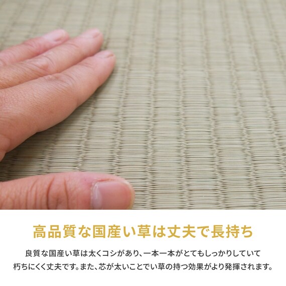 【国産】い草カーペット 琥珀 (本間 6畳) 10枚目画像