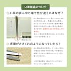 【国産】い草カーペット 琥珀 (本間 6畳) 12枚目画像