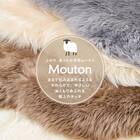 【天然ムートン】アクセントラグ 6匹物 140×180cm(ブラウン) 2枚目画像