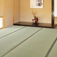【国産】い草カーペット 天草 (江戸間 1畳)