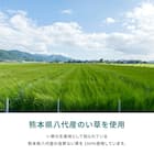 【国産】い草カーペット 天草 (三六間 4.5畳) 8枚目画像