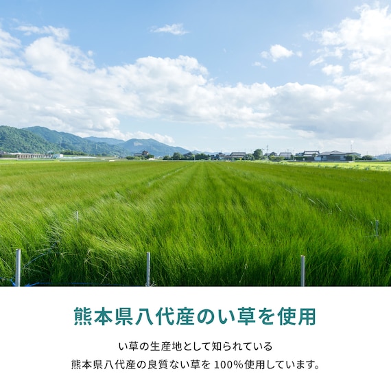【国産】い草カーペット 天草 (三六間 4.5畳) 8枚目画像