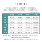 【国産】い草カーペット 天草 (三六間 4.5畳) 12枚目画像