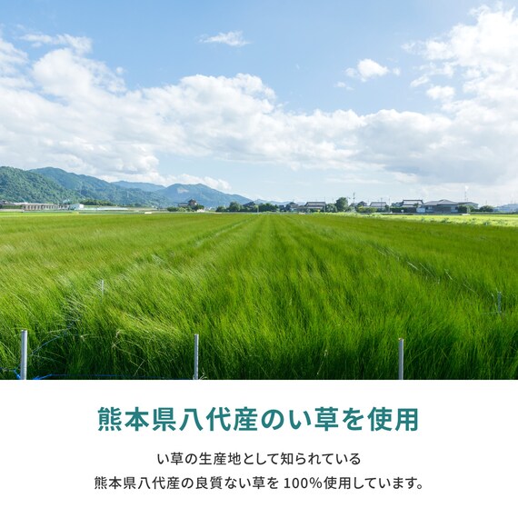 【国産】い草カーペット 天草 (本間 3畳) 8枚目画像
