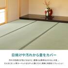 【国産】い草カーペット 天草 (三六間 10畳) 7枚目画像