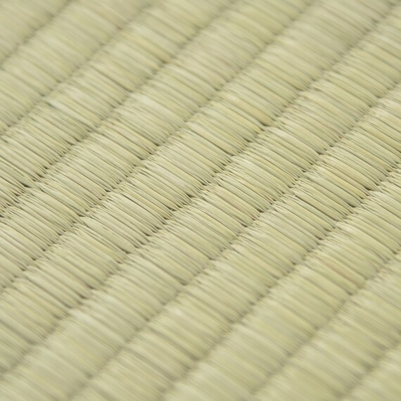 【国産】い草カーペット 天草 (団地間 8畳) 4枚目画像